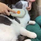 Brossage en douceur d’un chat allongé