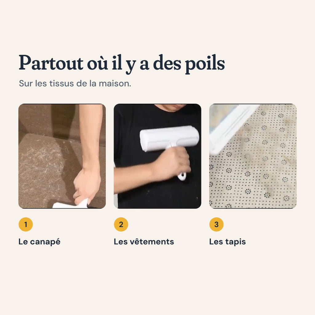 La brosse anti-poils sur le canapé, les vêtements et les tapis