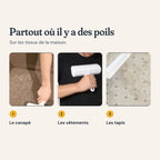 La brosse anti-poils sur le canapé, les vêtements et les tapis