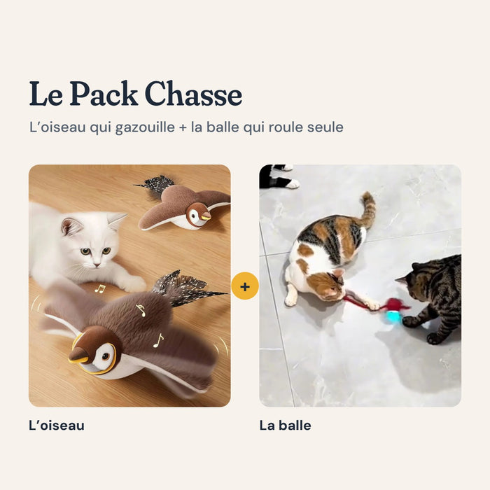 Le Pack Chasse