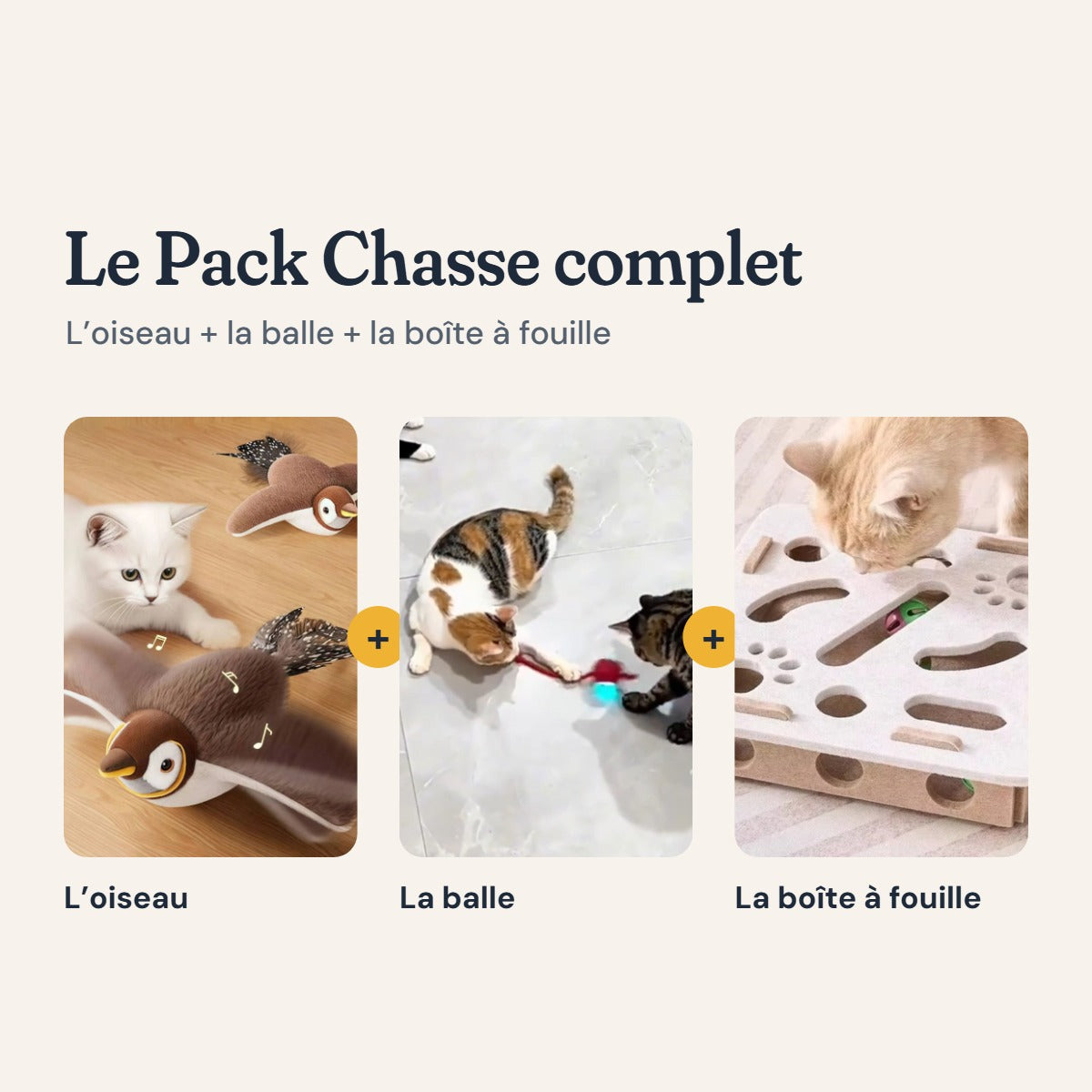 Le Pack Chasse complet : l’oiseau, la balle et la boîte à fouille