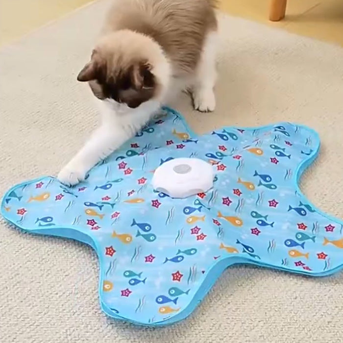 Le Tapis cache-cache